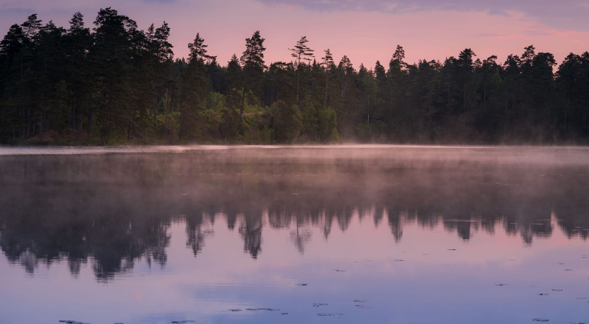 A calm lake under soft morning mist at dawn